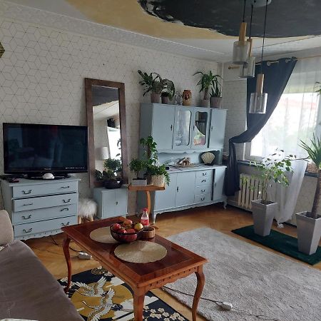 ביאליסטוק Alterra Apartment,13 Legionowa Street, Flat, Mieszkanie 41 מראה חיצוני תמונה